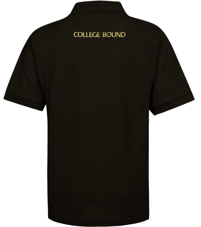High School Polo