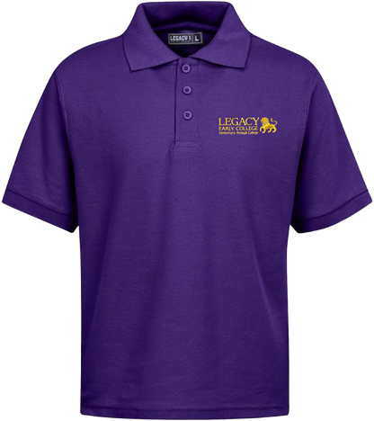 Polo para escuelas primarias y secundarias